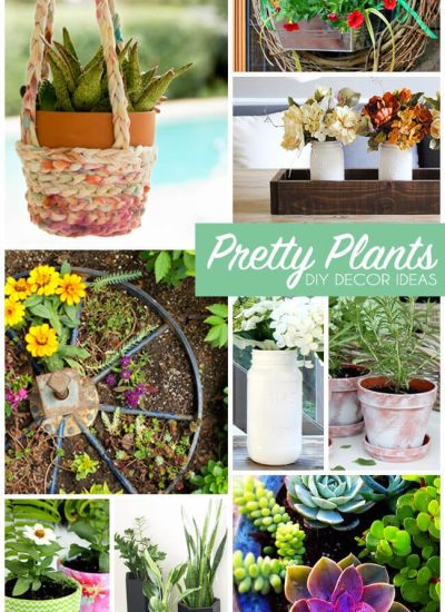 10 Creative Ways to Pot Plants