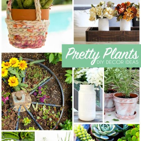 10 Creative Ways to Pot Plants