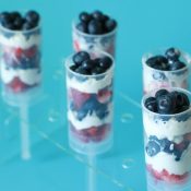 Fresh Fruit Push Up Pops