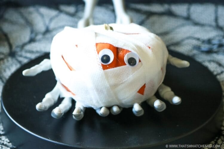 Fun Pumpkin Mummy Kid’s Craft Idea for Halloween!