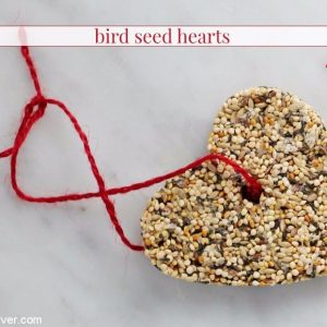 bird seed feeders in heart shapes