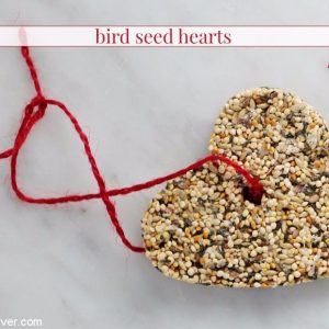 bird seed feeders in heart shapes