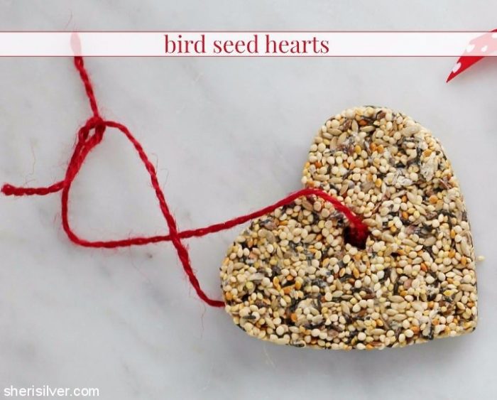 bird seed feeders in heart shapes