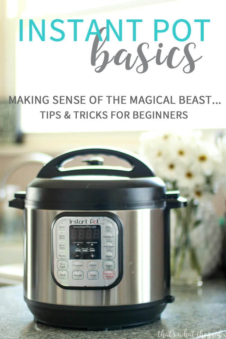 Instant Pot Basics - dummies