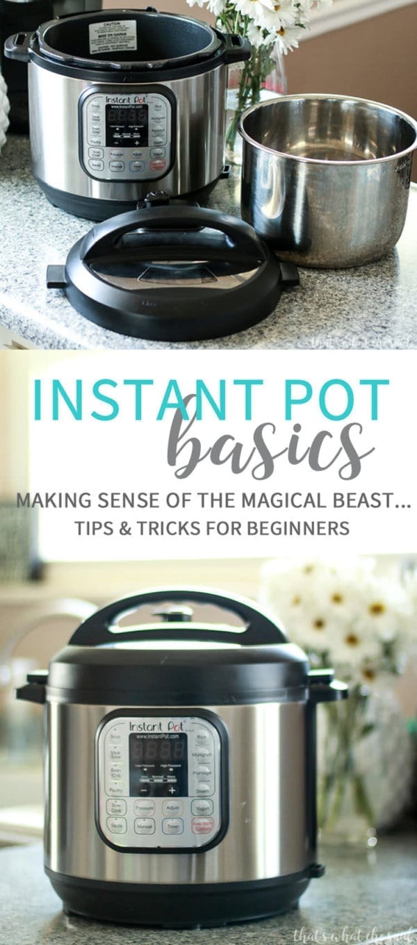 Instant Pot Tips for Beginners Instant Pot Basics That's What {Che} Said...
