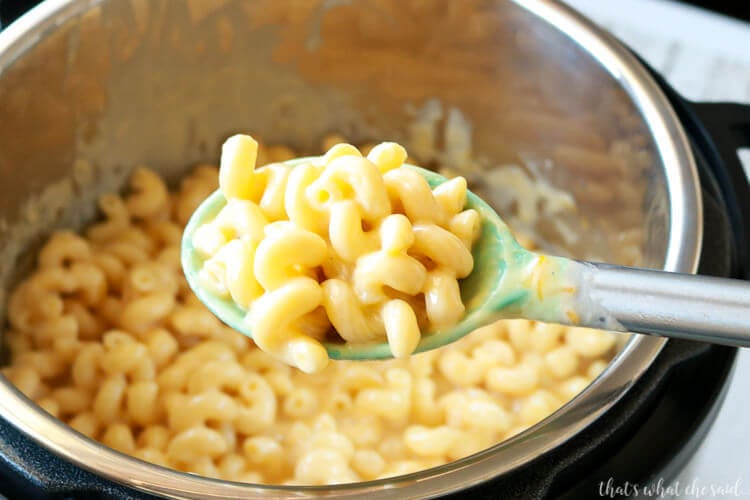 Instant Pot Mac & Cheese Recipe - Instant Pot Recipe for Beginners