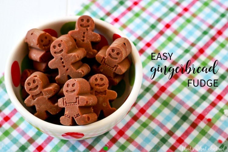 5 Minute Gingerbread Fudge – That's What {Che} Said