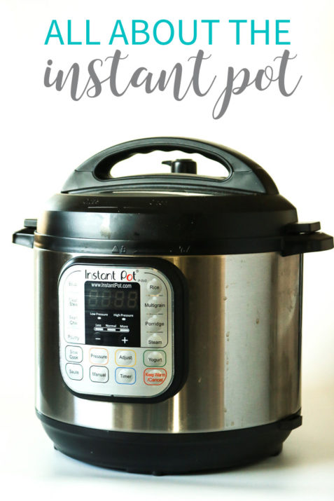 Everything Instant Pot – All You Need to Know – That's What {Che} Said...