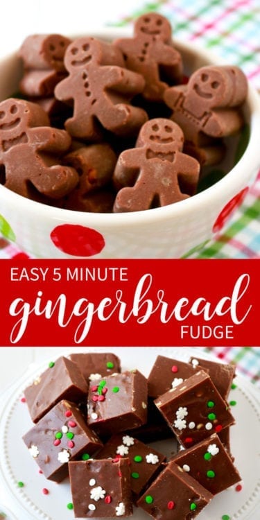 5 Minute Gingerbread Fudge – That's What {Che} Said