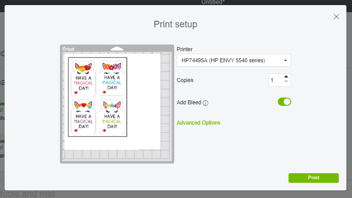 Print Setup Screen in Cricut Design Space for Print then Cut