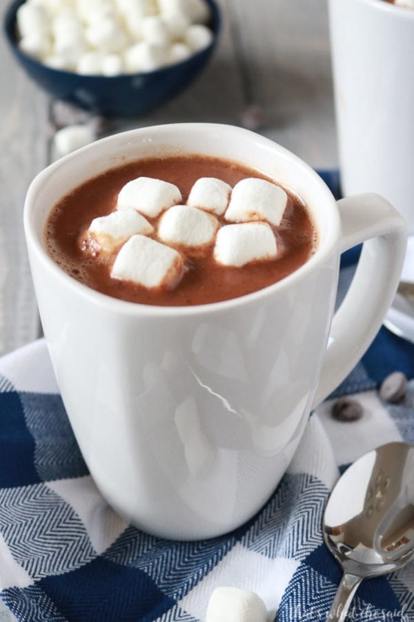 Best Stove Top Hot Chocolate Recipe That's What {Che} Said...