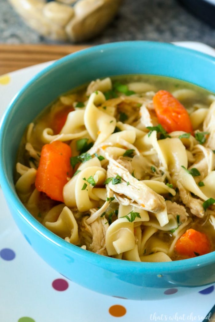 Instant Pot Chicken Noodle Soup