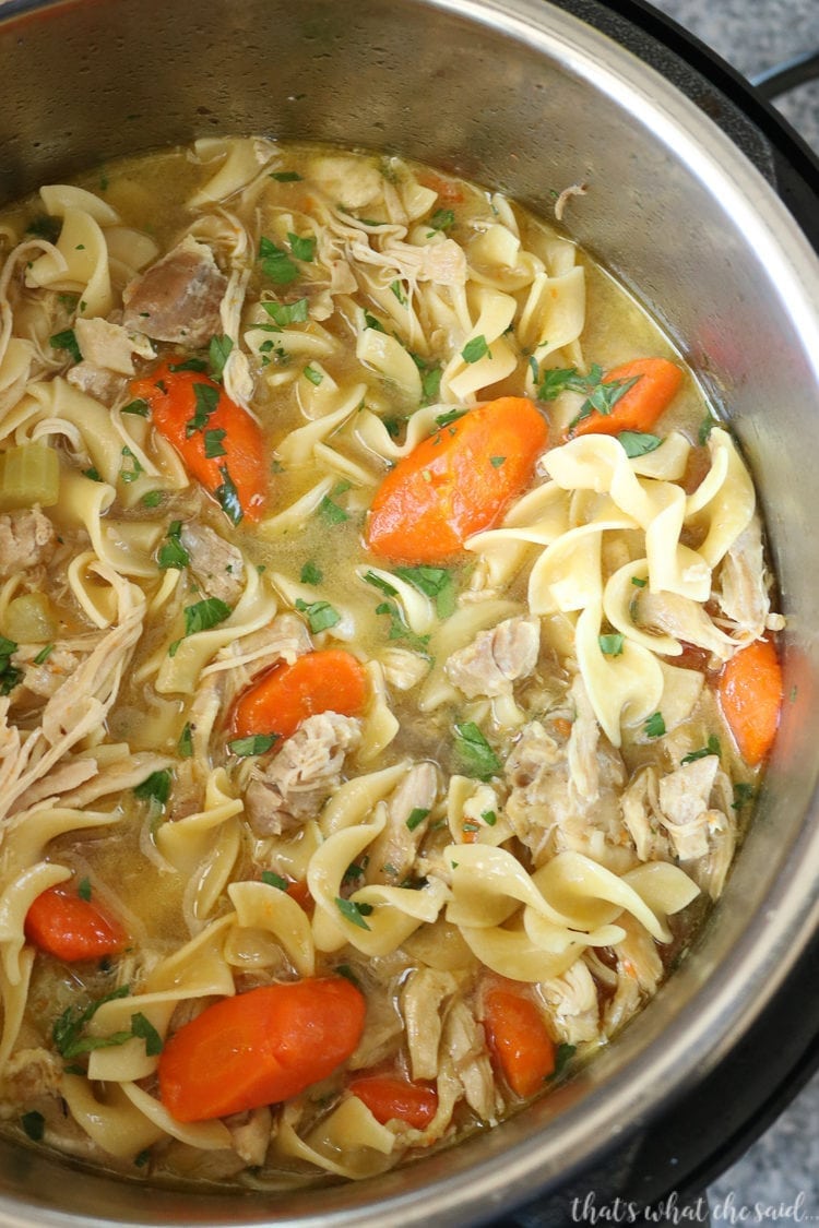 Instant Pot Chicken Noodle Soup in the instant pot pot, top down view