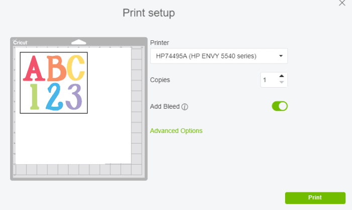 Print Setup Screen on Cricut Design Space for Print then Cut Feature