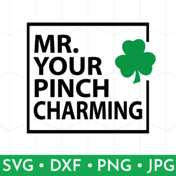 Mr Pinch Charming shop listing