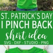 St. Patrick's Day Shirt Idea - I Pinch Back Shirt