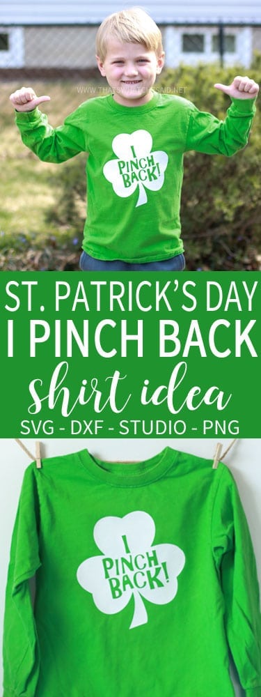 St. Patrick's Day Shirt Idea - I Pinch Back Shirt