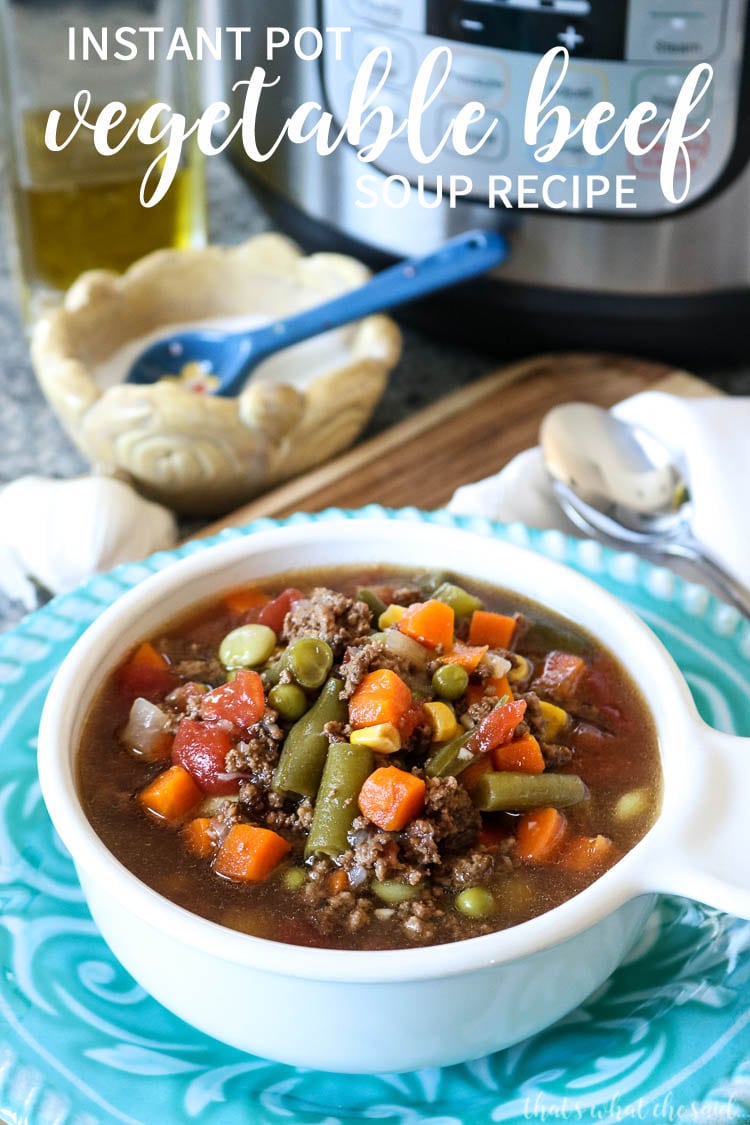Hearty Veggie Beef Instant Pot Soup - vertical shot of bowl of soup