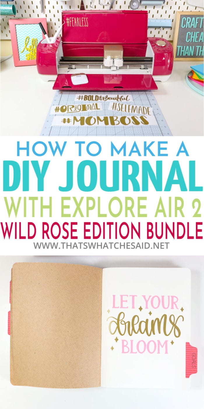 DIY Watercolor Mixer Decal (& the Cricut Explore Air 2 Wild Rose Edition!)