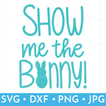 vector depictin of show me the bunny