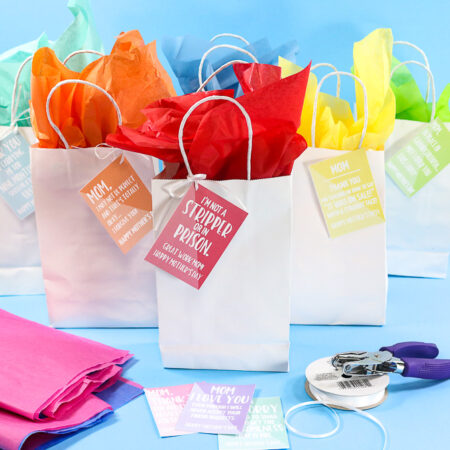 Sarcastic Gift Tags Printables on Bags