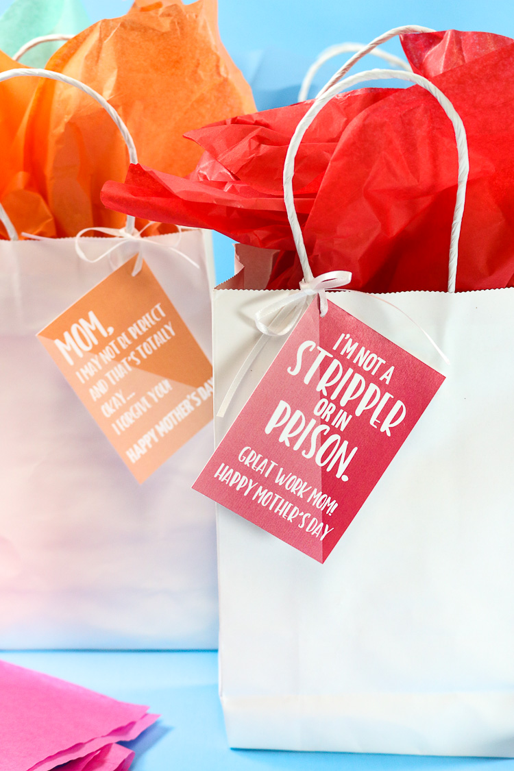 Red and Orange Sarcastic Gift Tags attached to white bags with red and orange tissue paper