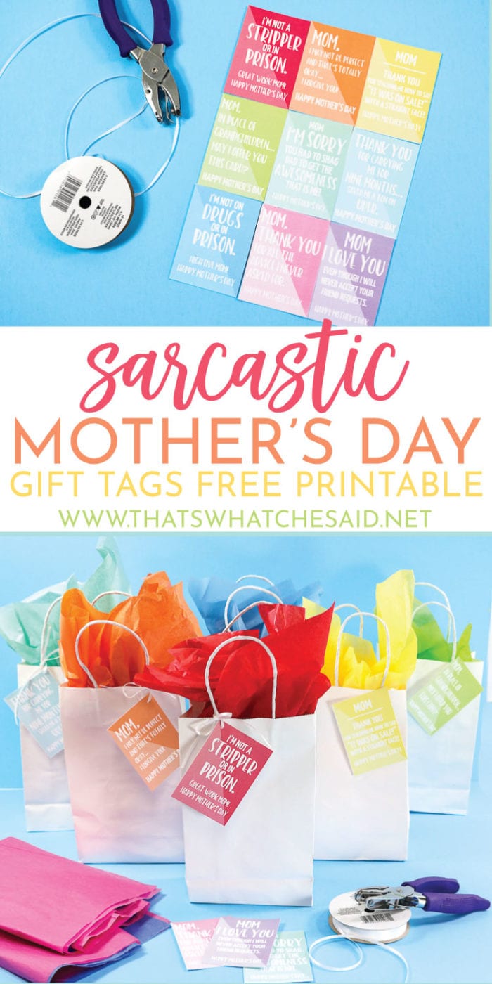 Sarcastic & Funny Mother's Day Gift Tags perfect for the Mom who has the sense of humor!  Download yours for free and get to laughing!  #freeprintable #printable #mothersday