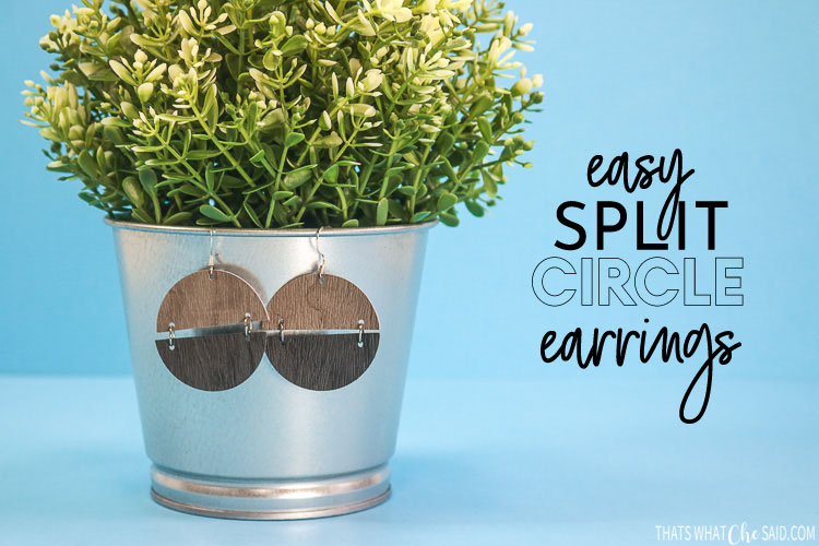 Split Circle Earrings