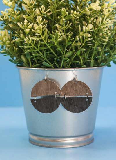 Semi Cirlce Earrings hanging on a faux plant pot