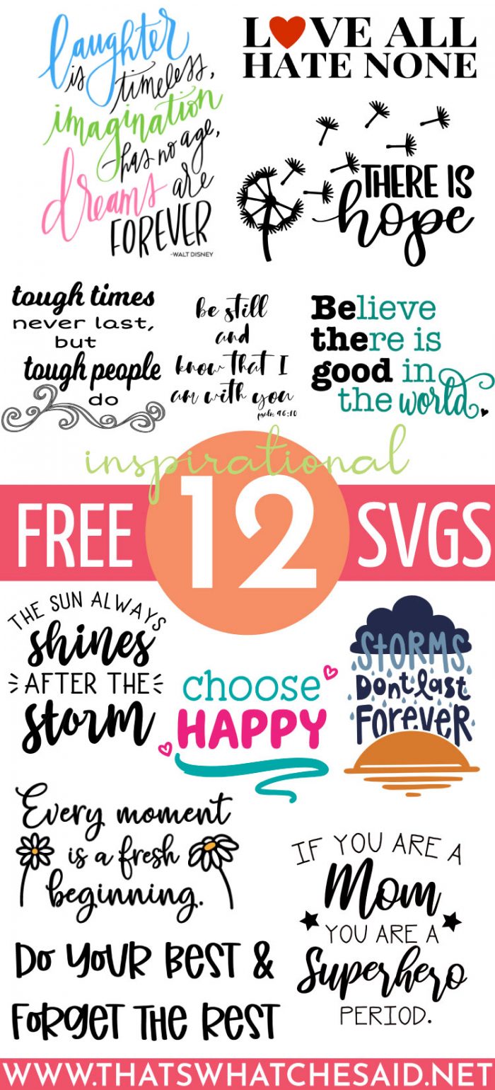 Download 12 Inspirational Quote SVG Files - That's What {Che} Said...