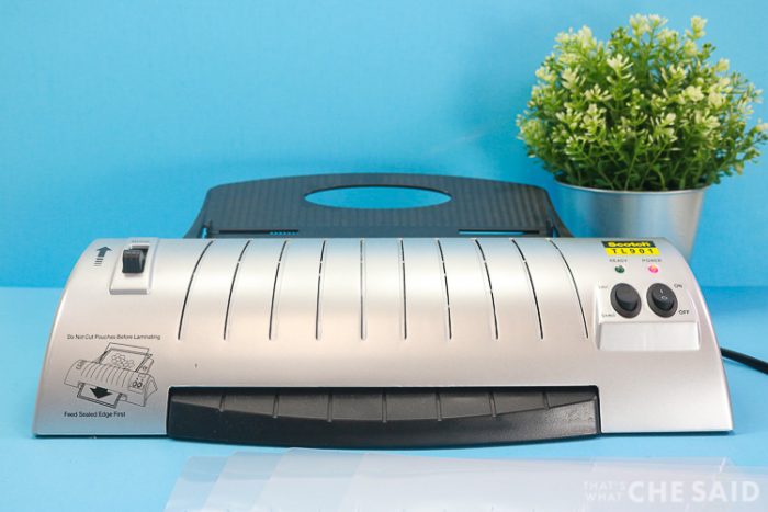 Home Laminator with small house plant