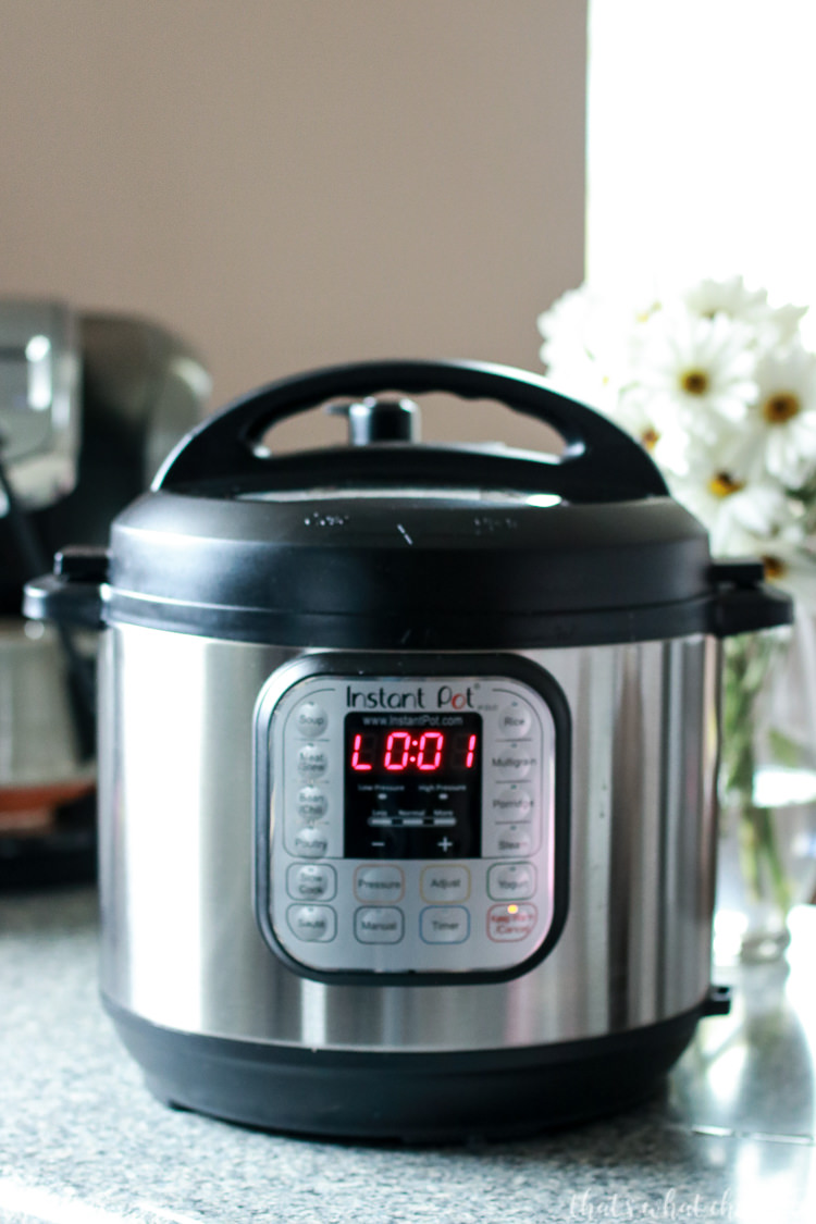 Everything Instant Pot – All You Need to Know – That's What {Che} Said...