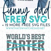 Funny Father S Day Svg Files That S What Che Said