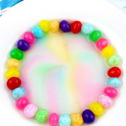 Science experiment making rainbow pattern out of jelly beans and water.