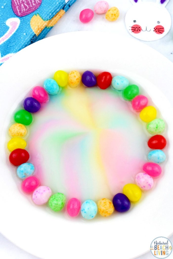 Science experiment making rainbow pattern out of jelly beans and water.