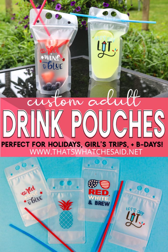 Adult Drink Pouches – That's What {Che} Said