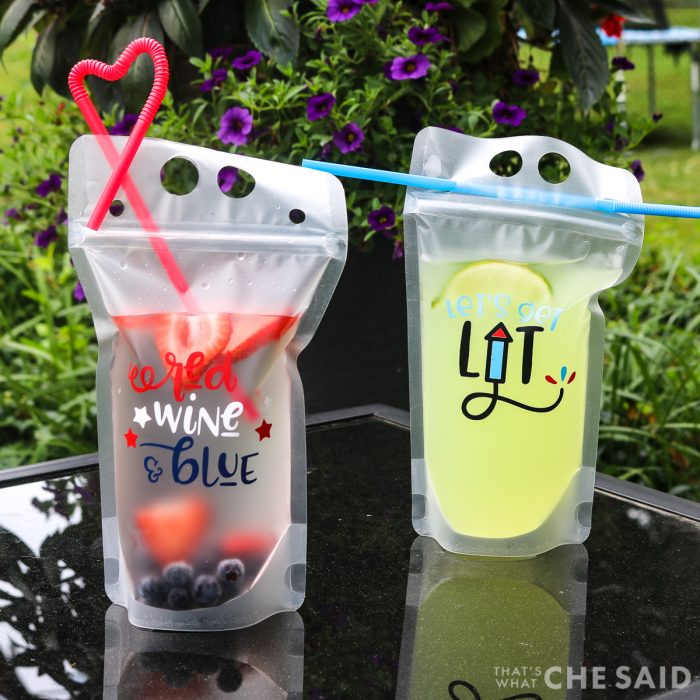 Adult Drink Pouch Cocktails always a good idea – KimiJean Creations, LLC