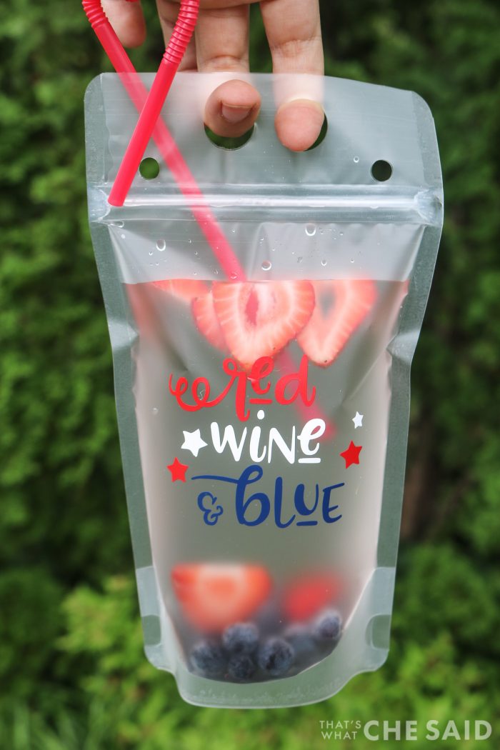 Adult Drink Pouches – That's What {Che} Said