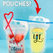 Reusable Adult Drink Pouches – Purple Giraffes Designs