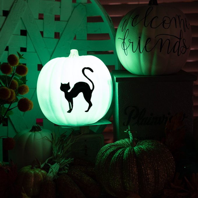 Pumpkin painted in glow in the dark paint with a black cat in black vinyl