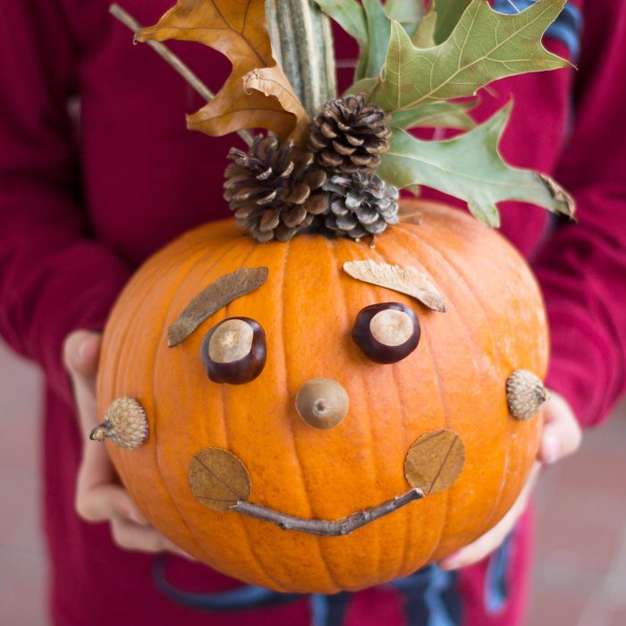 A pumpkin given a face with things from nature