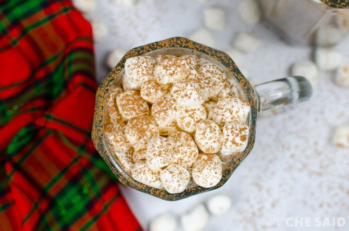 Zoomed in view of top of hot cocoa mug