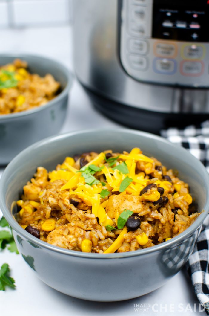 Chicken and Mexican Rice in grey bowl with instant pot in background