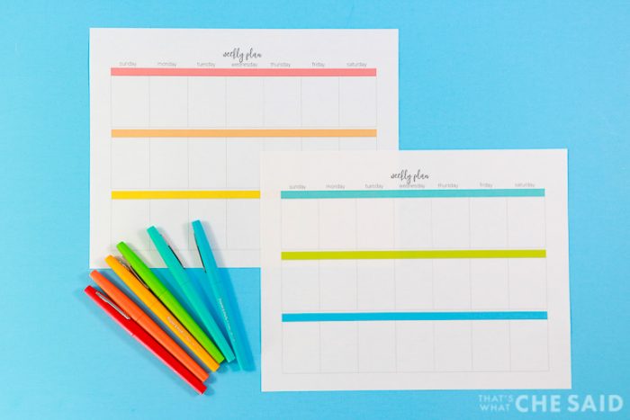 Weekly plan printables in two color ways with flair pens on blue background