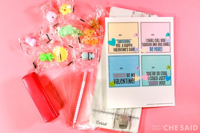 Squishy Valentine Supplies