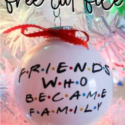 FRIENDS Ornament Pin 1