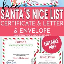 Nice List Certificate Long Pin