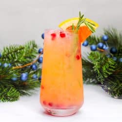 Rosemary Sparkling Paloma in Horizontal Orientation with greenery in background