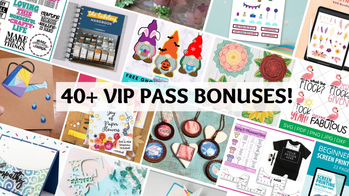 Collage of over 40 VIP bonuses