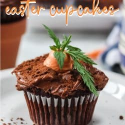 carrot patch cupcake pin